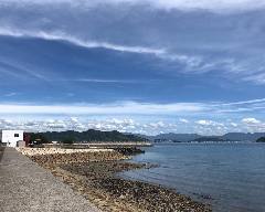 島うどん