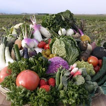 ［滋賀県産づくし自然和食］花様 ka－you 北新地 近江自家栽培ファーム直営店の画像