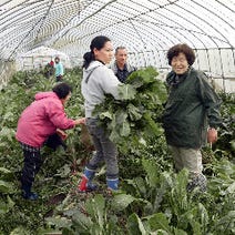 ［滋賀県産づくし自然和食］花様 ka－you 北新地 近江自家栽培ファーム直営店の画像