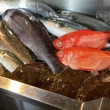 松輪漁港から仕入れる鮮魚