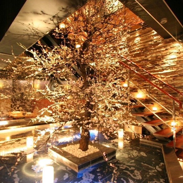 個室ダイニング ウメ子の家 横浜西口店