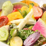 京都の自社ファームからの朝採り。新鮮野菜の「農園サラダ」