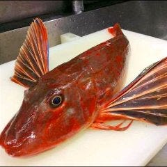 ととや 自慢の食材 方々 ほうぼう ぐるなび ととや 自慢の食材 方々 ほうぼう ぐるなび
