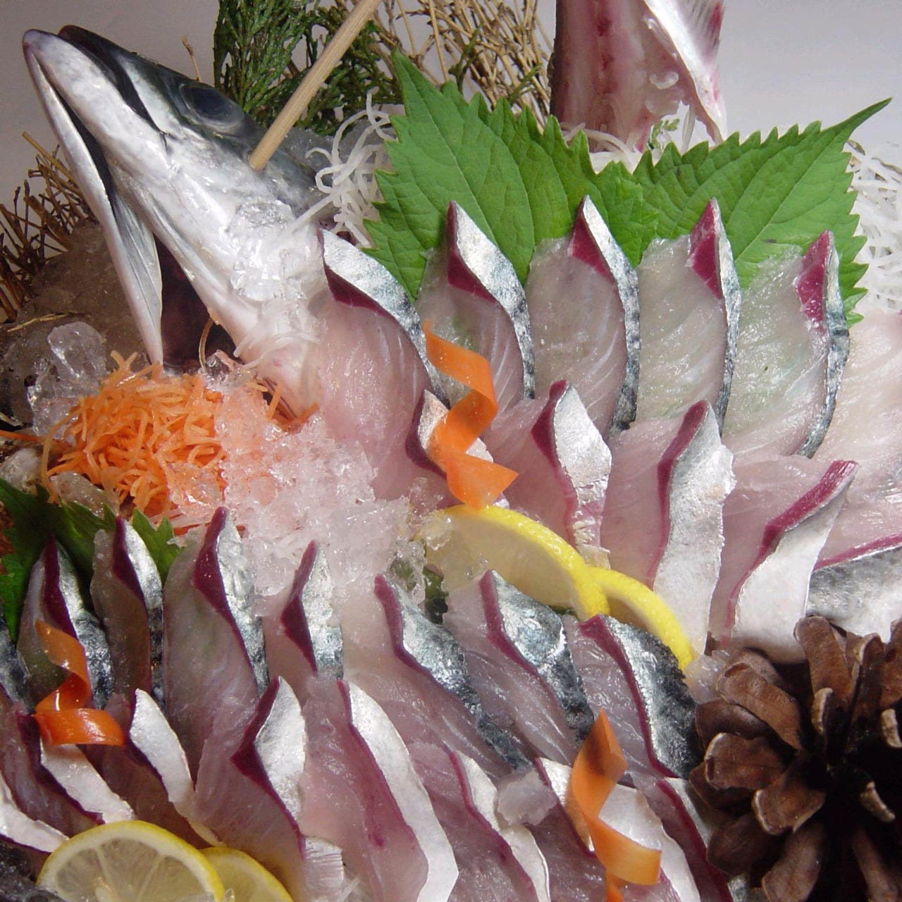 新着豊後 アジ すべての魚の画像