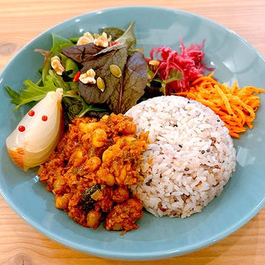 Keyaki no Mori CAFE&ARTS(けやきのもり)_大豆ミートのキーマカレー