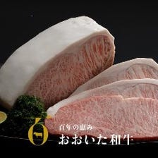 百年の恵み おおいた和牛