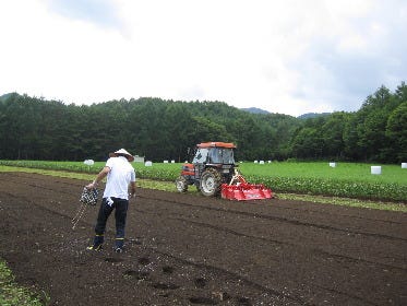 そばきり みよ田 松本店
