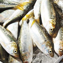 海に面した地の利を活かした旬の魚