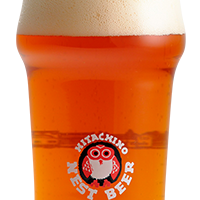 大衆ビストロ PINE 所沢東口駅前店_クラフトビールも【2.5時間】飲み放題!プレミアムプラン〈全11品〉¥7,300 宴会・飲み会・忘年会・新年会