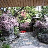 ＜春の庭＞枝垂れ桜やソメイヨシノをはじめ色とりどりの花が咲き、暖かな春の訪れを感じさせてくれます。