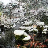 ＜冬の庭＞雪景色の中、新潟県山古志村から仕入れた鯉が彩りを添えます。