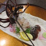 活伊勢海老のお刺身御膳新鮮な身わプリプリの食感を一度ご賞味下さい。お値段は時価およそ4500～7800円