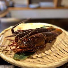 平日限定コースをご用意致しました