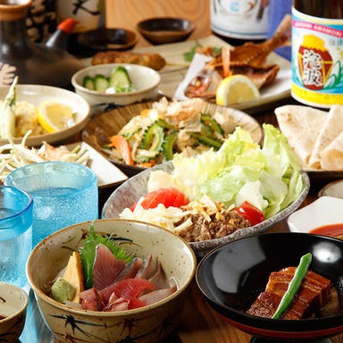 沖縄奄美料理黒龍_【飲み放題付き】沖縄満喫コース
