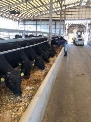 滋賀県で焼肉食べ放題があるお店 滋賀県で焼肉食べ放題があるお店