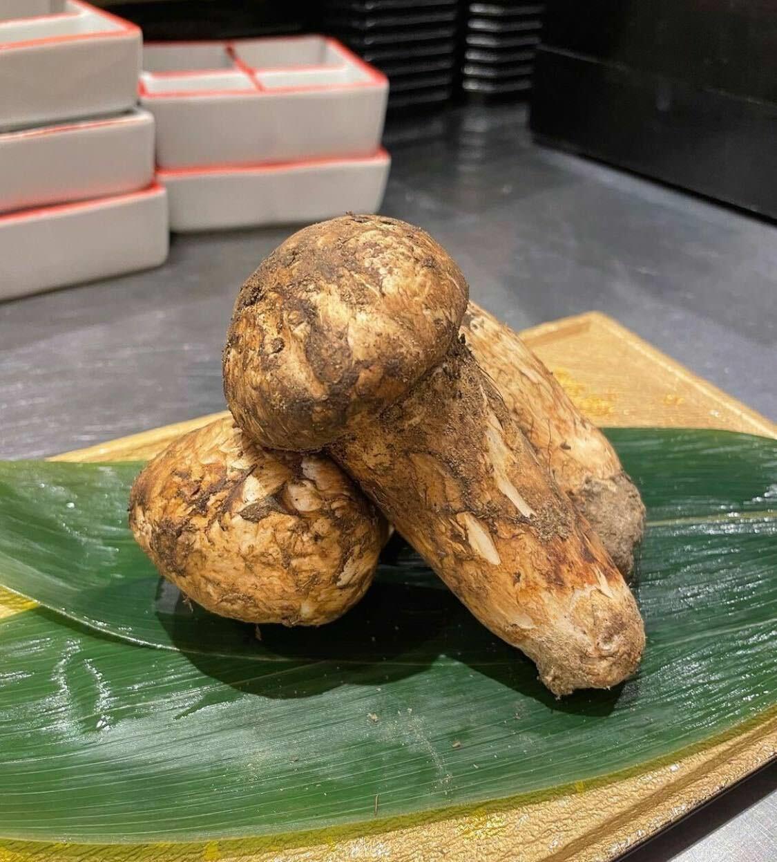 四季膳 ほしや 成城学園前 和食 日本料理 Goo地図 四季膳 ほしや 成城学園前 和食 日本料理 Goo地図