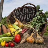 野菜ソムリエ厳選の野菜！