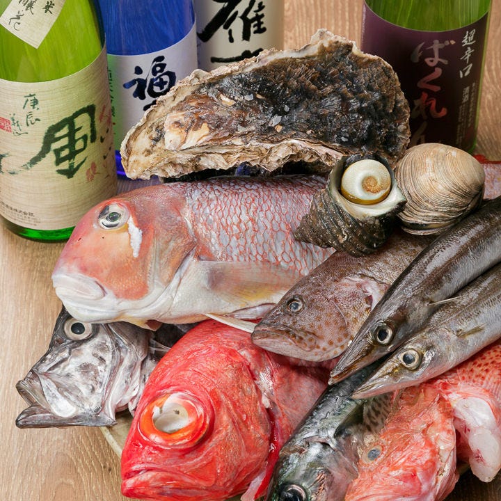 【明石昼網】漁場直送の魚介が揃う