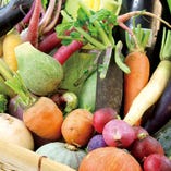 北見市津別の直送野菜です。5月～11月までは彩り鮮やかに入荷します。11月～4月はカラフルないろんなジャガイモが届きます。