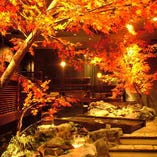 ～秋～　紅葉