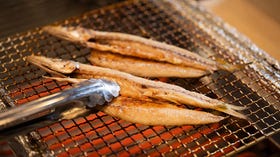 魚河岸田【WoCasita】