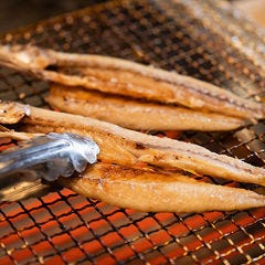 魚河岸田【WoCasita】