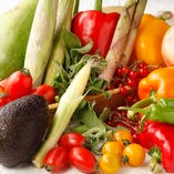 旬の野菜もたっぷり使ったコースは健康に留意するあなたにもおすすめです。