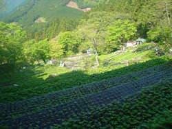 たつ郎寿司 田園調布 寿司屋 ぐるなび