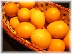 糸満の上原養鶏場で直接仕入れた新鮮な「はっこう卵」