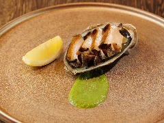 黒犬となります。金継ぎ 源六焼 富永源六 鮑型 アワビ 銘々皿 1枚 京都鉄板焼 grow 自慢の食材 - アワビ（鮑） - 楽天ぐるなび