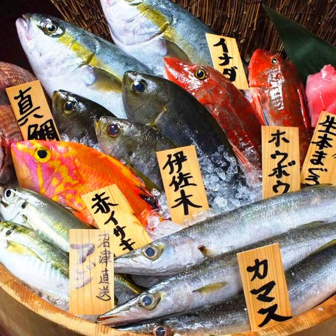 まぐろ居酒屋 さかなや道場 蘇我東口店 千葉駅 蘇我 居酒屋 ぐるなび まぐろ居酒屋 さかなや道場 蘇我東口店 千葉駅 蘇我 居酒屋 ぐるなび