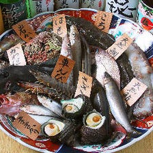 瀬戸内の地魚と季節の鮮魚