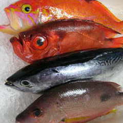 全国の日本酒＆焼酎 高田馬場 一酔万笑 