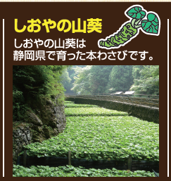 炭火牛タン焼 しおや 三島駅店 三島 居酒屋 ぐるなび
