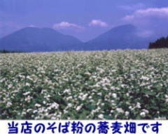 花津月