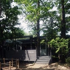 旬のベジカフェバル Best Table