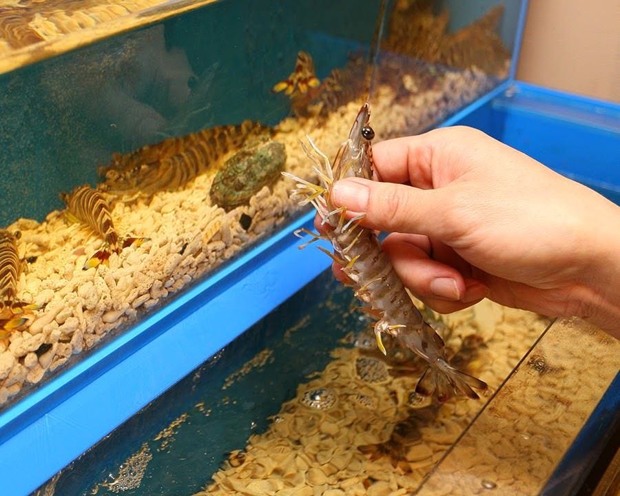 産直鮮魚とおばんざい 魚こめ屋 イオンモールつくば店