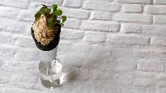 鶏レバームース