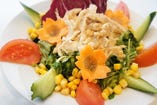 【前菜サラダ】
蒸し鶏と春野菜のサラダ