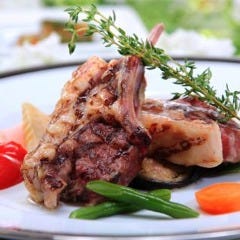 PalmTree（パームツリー）