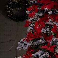 フランス料理レストラン オーエセル