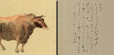 鎌倉時代からの銘牛『大和牛』