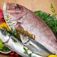 肉×魚バル MEAT MEETS FISH 八重洲店_【厳選プラン】さっぱり豊洲直送海鮮とA5和牛サーロインコース〈全9品/飲み放題付〉12100円⇒11000円