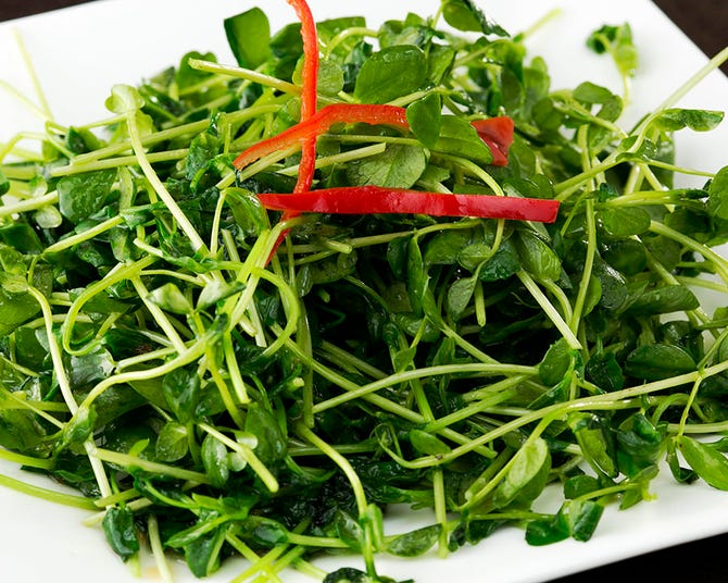 健康中華庵 青蓮 蒲田東口店 蒲田 中華料理 ぐるなび