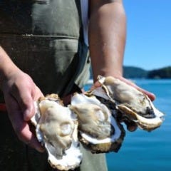 長町駅前 みやぎ鮮魚店