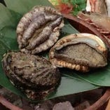 活あわび　海藻肝ソース・ポン酢・醤油（三陸産）
