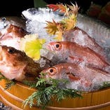 生鮮朝獲れ新鮮鮮魚を使用した料理【北海道】