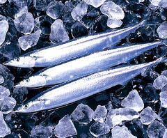 酒菜家 漁＜いさり＞