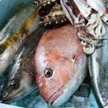 漁師さんから直送される鮮魚を使用しています。