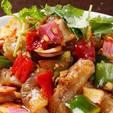 中国西北料理 大新疆(だいしんきょう)_【2時間飲み放題付き】気軽にウイグル料理!お手軽コース 全8品 4,000円(税込)